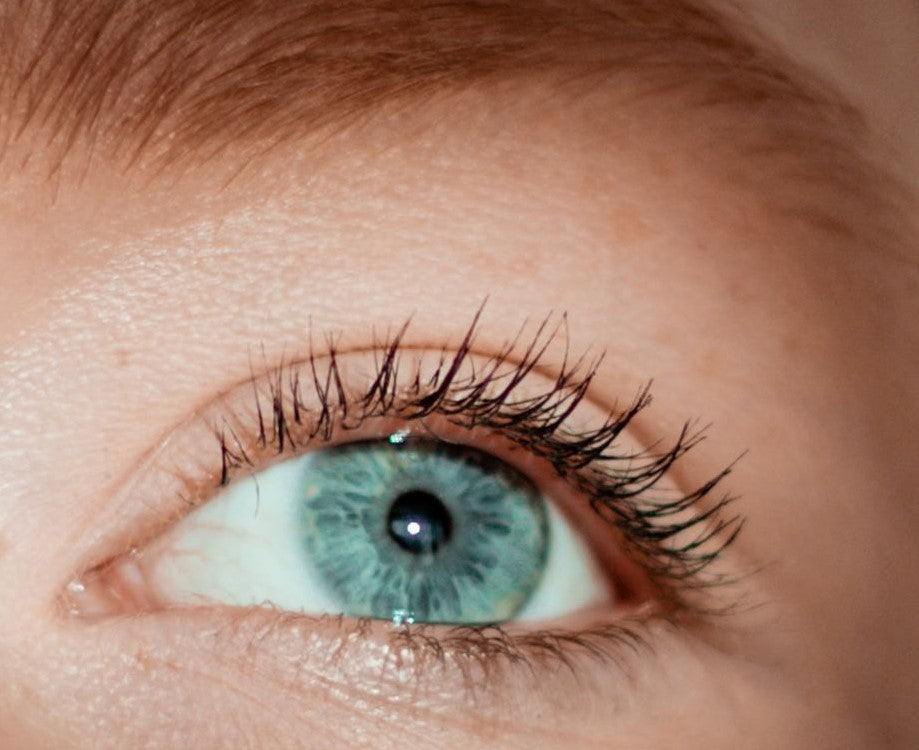 How Your Past Shapes New Brain Experiences